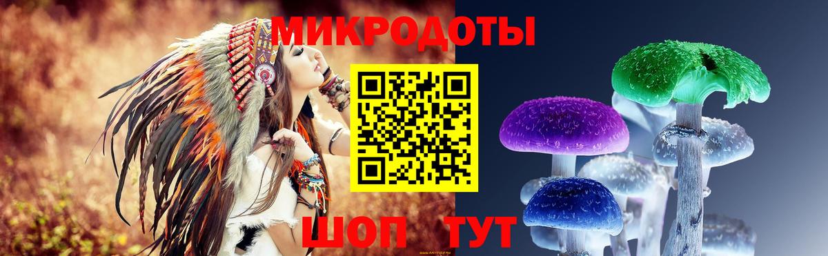 Зеленодольск  Галлюциногенные грибы мицелий  сколько стоит  Вход с VPN 