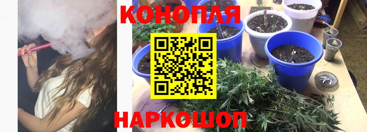 Конопля гибрид  Каннабис конопля  Вход с VPN  Зеленодольск 